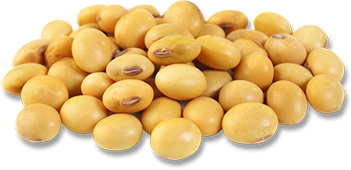 產(chǎn)品